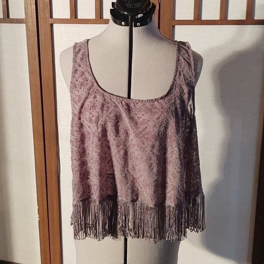 Hollister Sheer Velvet Pattern Gray Crop Top with Fringe Sz L
